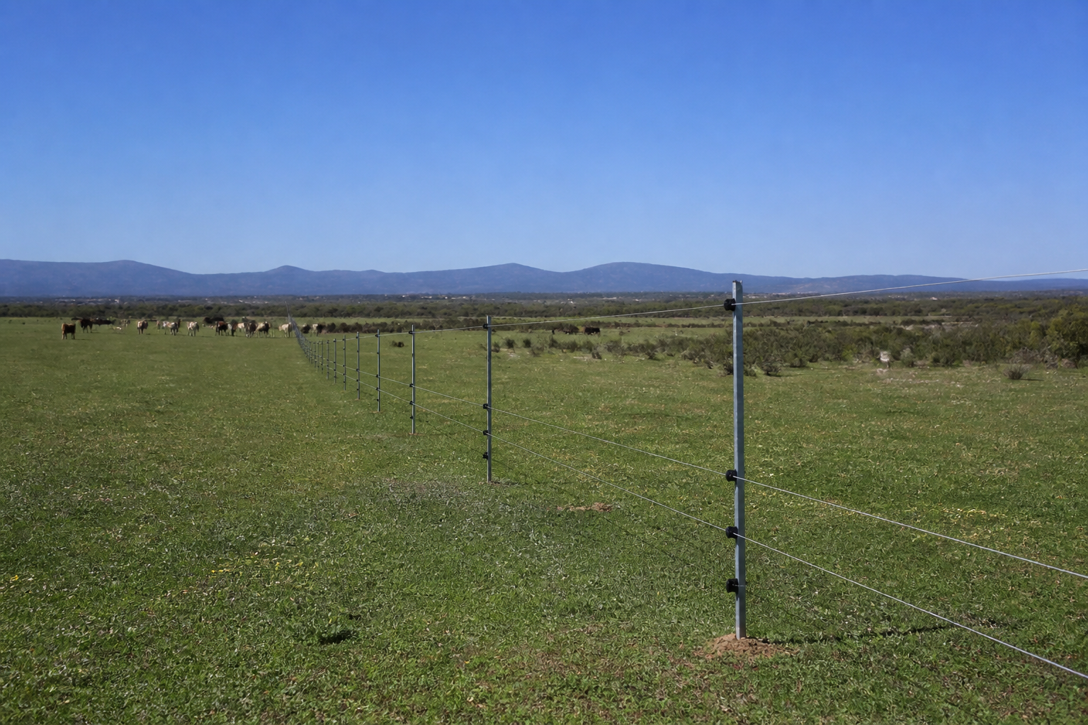 Cerca eléctrica de varios hilos cruzando un prado con ganado